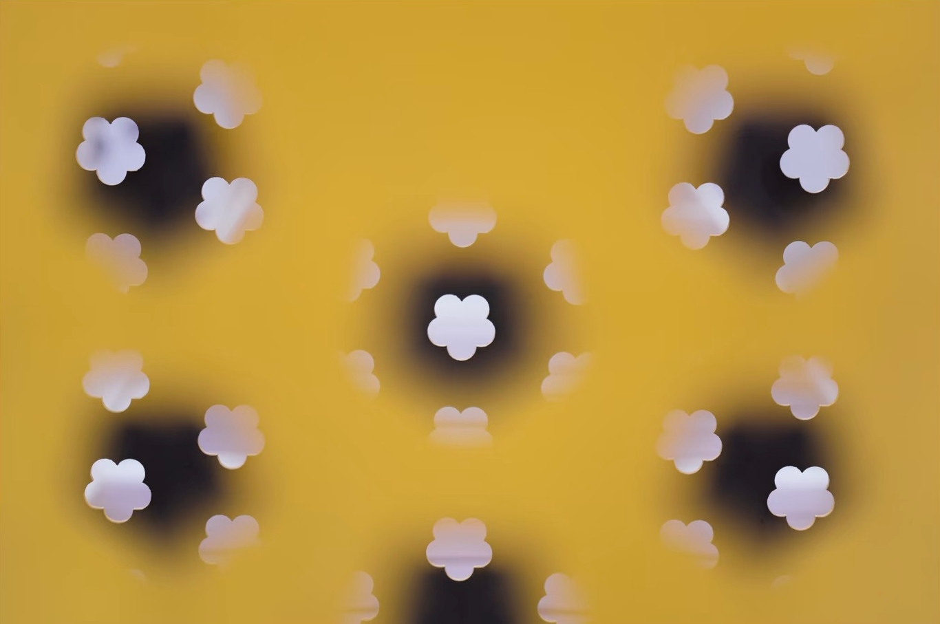 2025-02-22